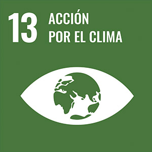 Logo ODS 13
