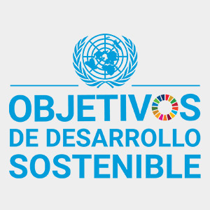 Logo ODS 18